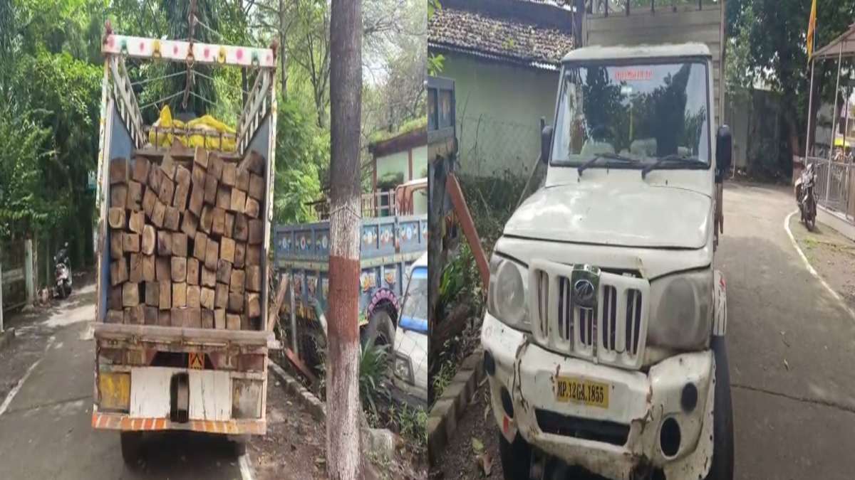 सीहोर के बुधनी में इमारती लकड़ी की तस्करी: वन विभाग की टीम ने सागौन से भरी पिकअप पकड़ी, वाहन जब्त, ड्राइवर फरार