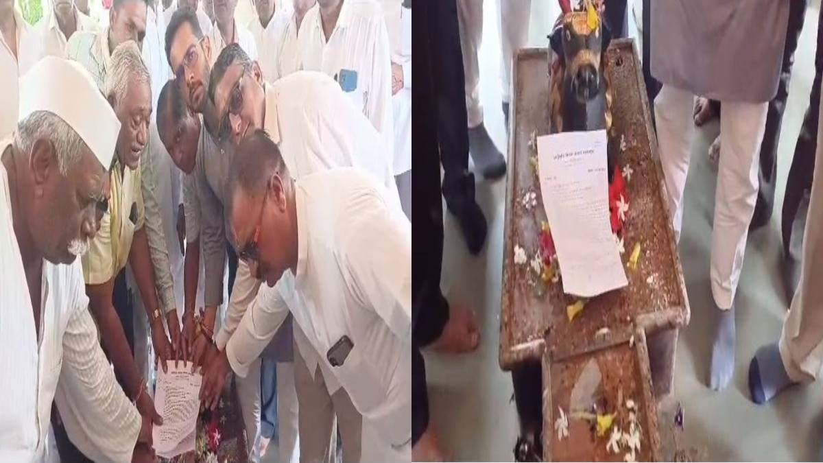 कलेक्टर ने नहीं लिया आवेदन, तो नंदी महाराज को सौंप आए किसान: केले की फसल का बीमा नहीं मिलने से हैं नाराज