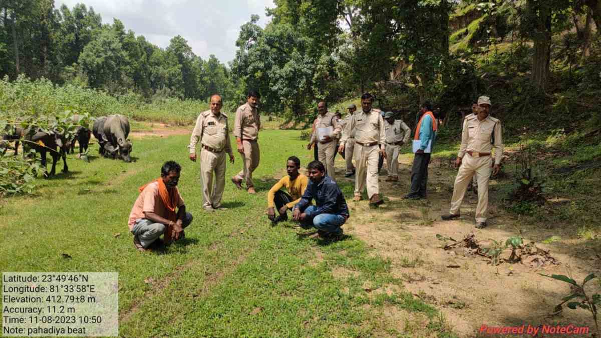वन विभाग की बड़ी कार्रवाई: जंगली सूअर का शिकार, मांस पका खा रहे 3 शिकारी पकड़ाए, अन्य फरार