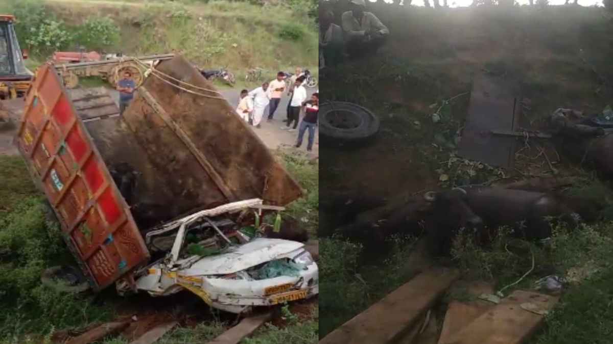 MP में 4 लोगों की मौत: भैंसों से भरा लोडिंग वाहन बेकाबू होकर पलटा, 4 युवक और 4 भैंसों ने तोड़ा दम
