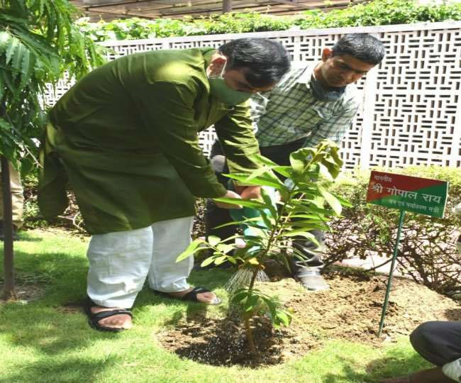राजधानी में लाखों पौधे बांटेगी सरकारः राय