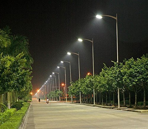 Delhi News: अंधेरे वाले स्थानों पर स्ट्रीट लाइट लगाने के निर्देश