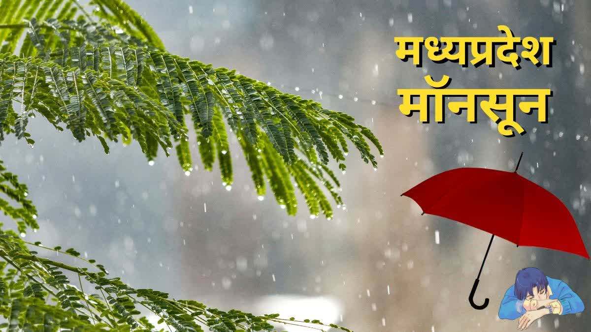 MP में कमजोर पड़ा मानसून: 2 से 3 दिन तक बारिश के कोई आसार नहीं, फिर बढ़ेगा तापमान