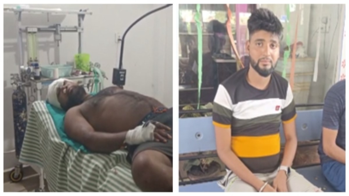 Bear Attack: मंदिर में दर्शन करने गए श्रद्धालुओं पर भालू ने किया हमला, दो घायल, एक की हालत गंभीर 