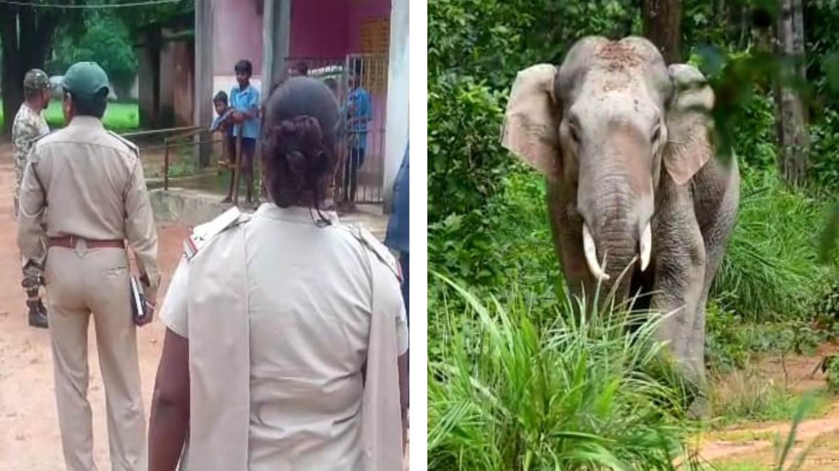 CG NEWS : इलाके में दंतैल हाथी का विचरण, एहतियात के तौर पर वन विभाग ने स्कूल में तैनात किया अमला, बच्चों के लिए किए सुरक्षा के इंतजाम