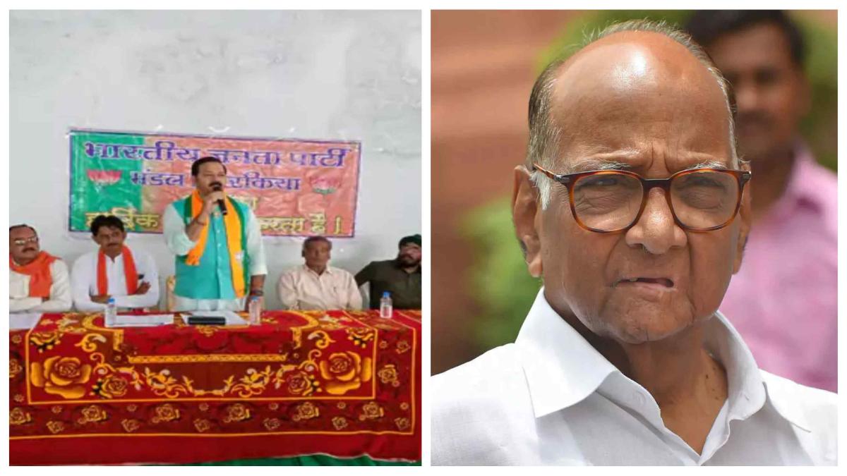 BJP में शामिल हो सकते हैं शरद पवार! महाराष्ट्र के विधायक ने कहा- जब वो सिक्सर मारेंगे, तो बाकी पार्टी सो जाएगी और वो बीजेपी के साथ होंगे