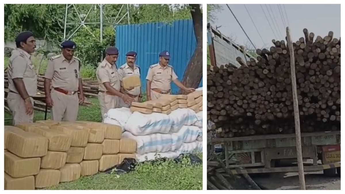 MP पुलिस की बडी कार्रवाई: 3 करोड़ का गांजा जब्त, लकड़ियों के बीच छिपाकर छत्तीसगढ़ से हरियाणा ले जा रहे थे, IG ने टीम को दिया 30 हजार का इनाम
