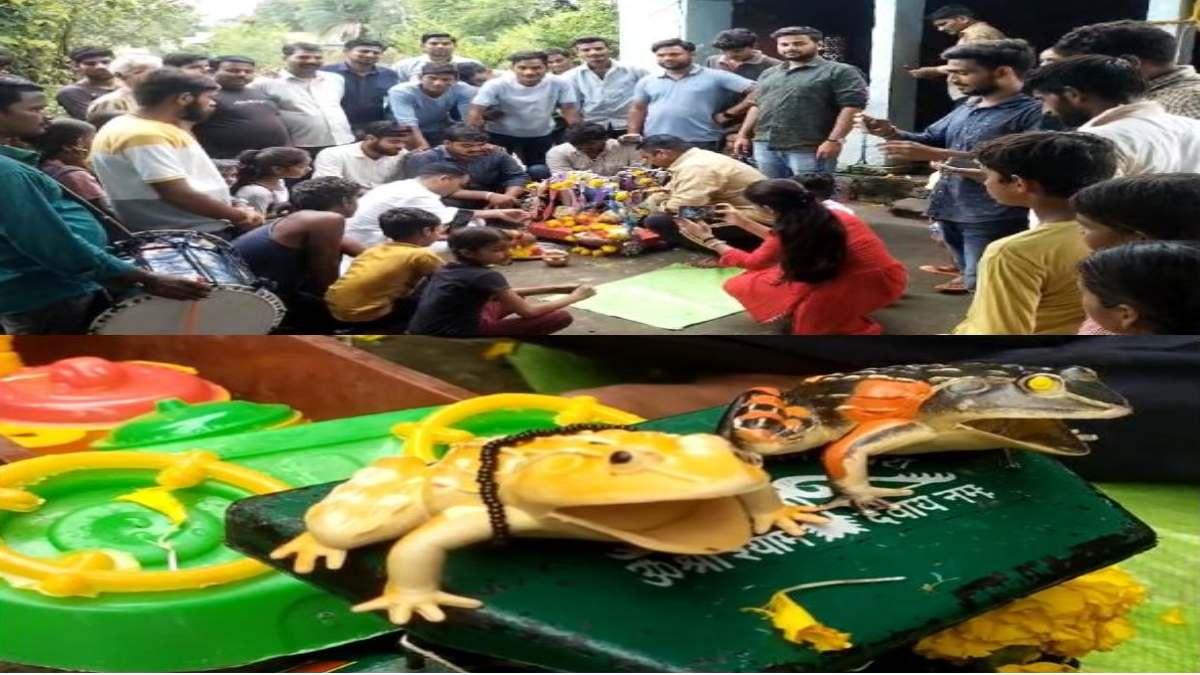 अनोखी शादीः गांव में अच्छी बारिश के लिए विधि विधान से कराया मेंढक-मेंढकी का विवाह, Video