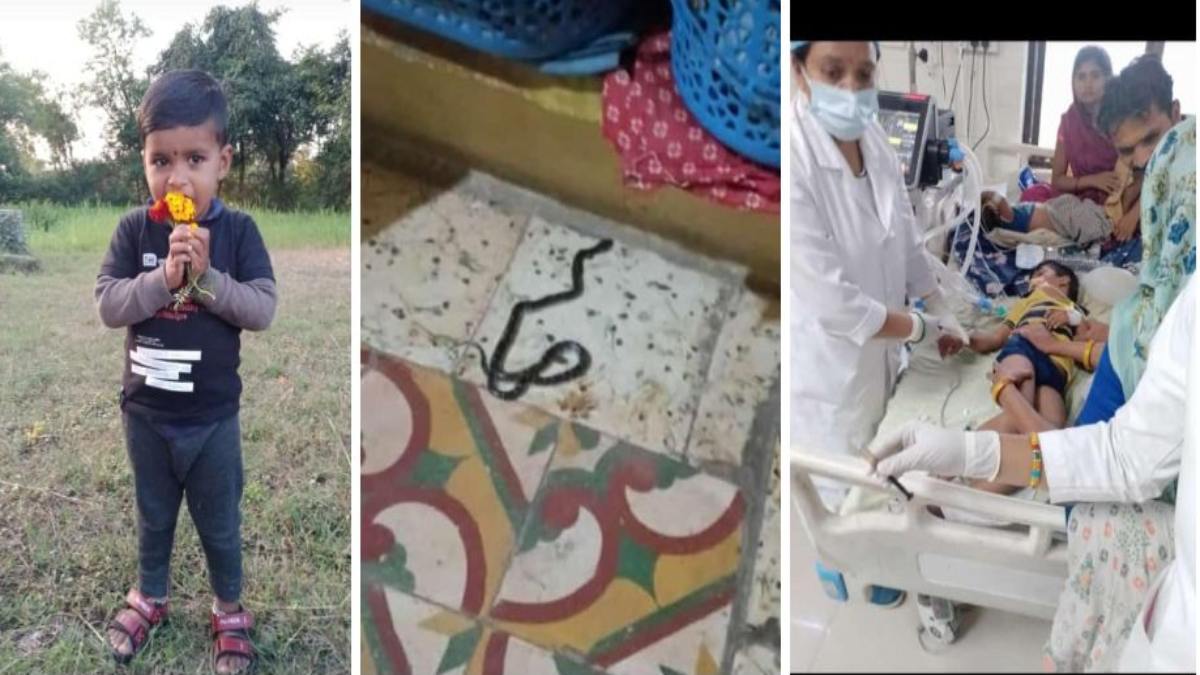 दिल दहलाने वाली घटनाः तीन साल के मासूम को सांप ने डसा, मौत, इधर फैक्ट्री में ब्लास्ट के बाद युवक का शव पटरी पर फेंका, पिता-पुत्र समेत 3 आरोपी गिरफ्तार