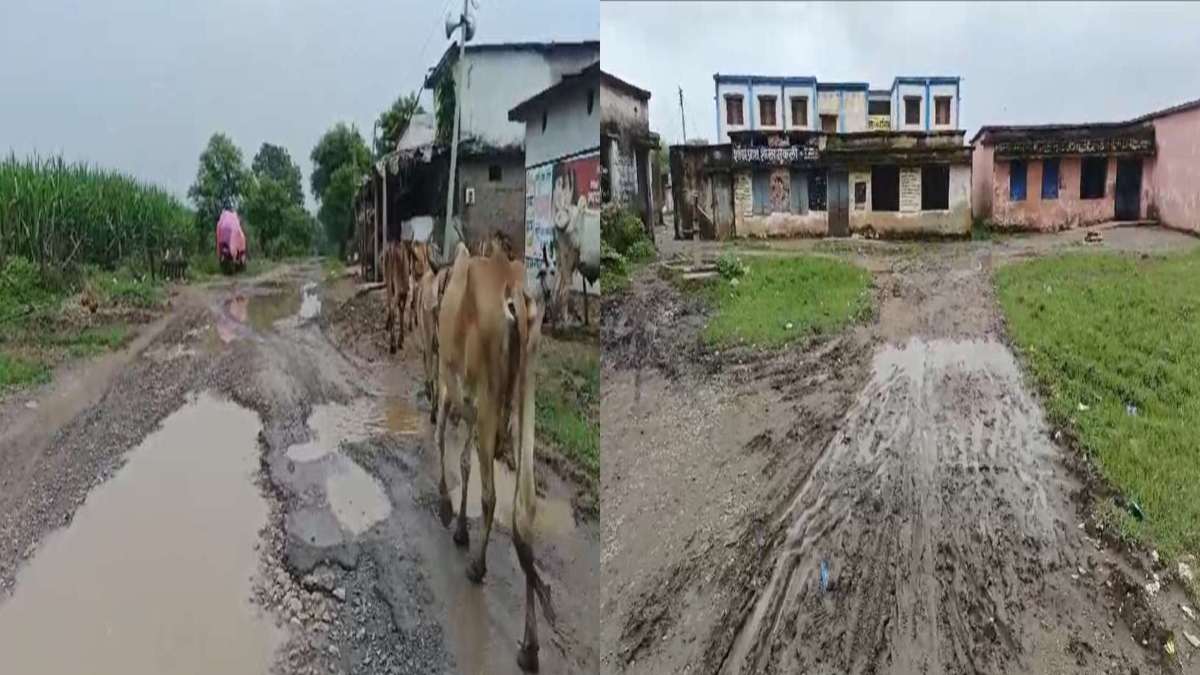 उड़ गई विकास की चिड़िया ! अस्पताल जाने के लिए कीचड़ भरा रास्ता, विधायक का गांव बहा रहा बदहाली के आंसू, सड़क में गड्ढे या गड्ढे में सड़क ?
