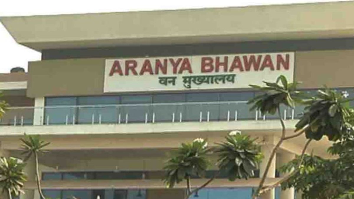 CG IFS TRANSFER: वन विभाग में 5 अधिकारियों का तबादला, जानिए किसे मिली कहां की जिम्मेदारी ?