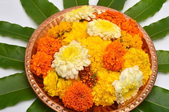 घर के मंदिर से निकलने वाले फूल, पूजा की सामग्री को कभी कचरे में न फेंके, न ही नदी में बहाएं, खंडित मूर्ति को गमले में डाल दें …
