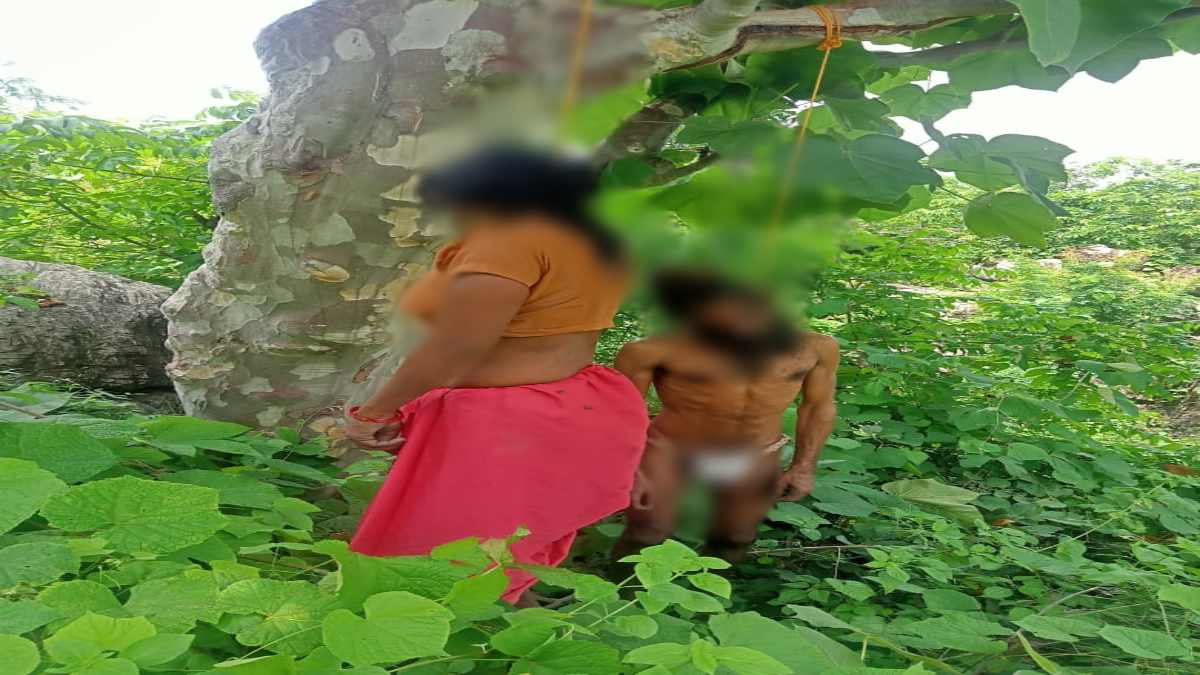 Jabalpur: भेड़ाघाट के जंगल में पेड़ पर लटका मिला महिला-पुरुष का शव, जांच में जुटी पुलिस