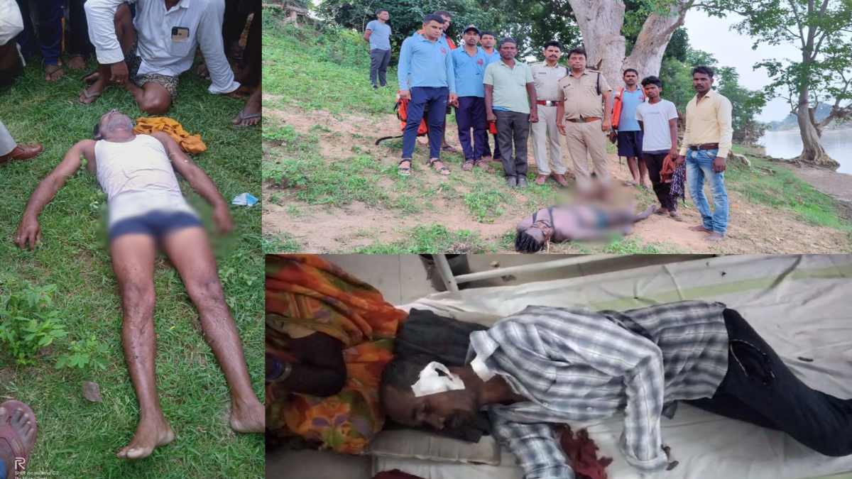 Umaria News: दो अलग-अगल हादसों में 2 लोगों की मौत, बाघिन के हमले में एक शख्स घायल