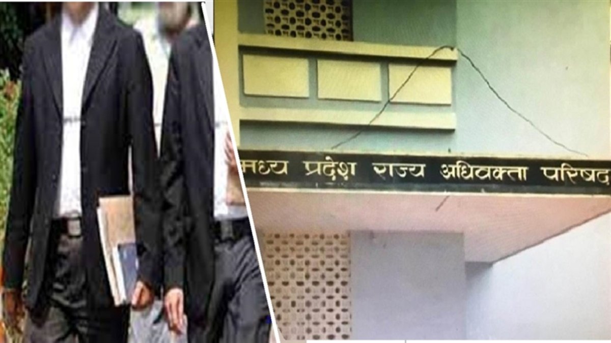 फर्जी डिग्रीधारी वकीलों के खिलाफ मुहिमः दो को नोटिस जारी, सुप्रीम कोर्ट की सख्ती के बाद बार काउंसिल ऑफ इंडिया ने दिए कार्रवाई के आदेश
