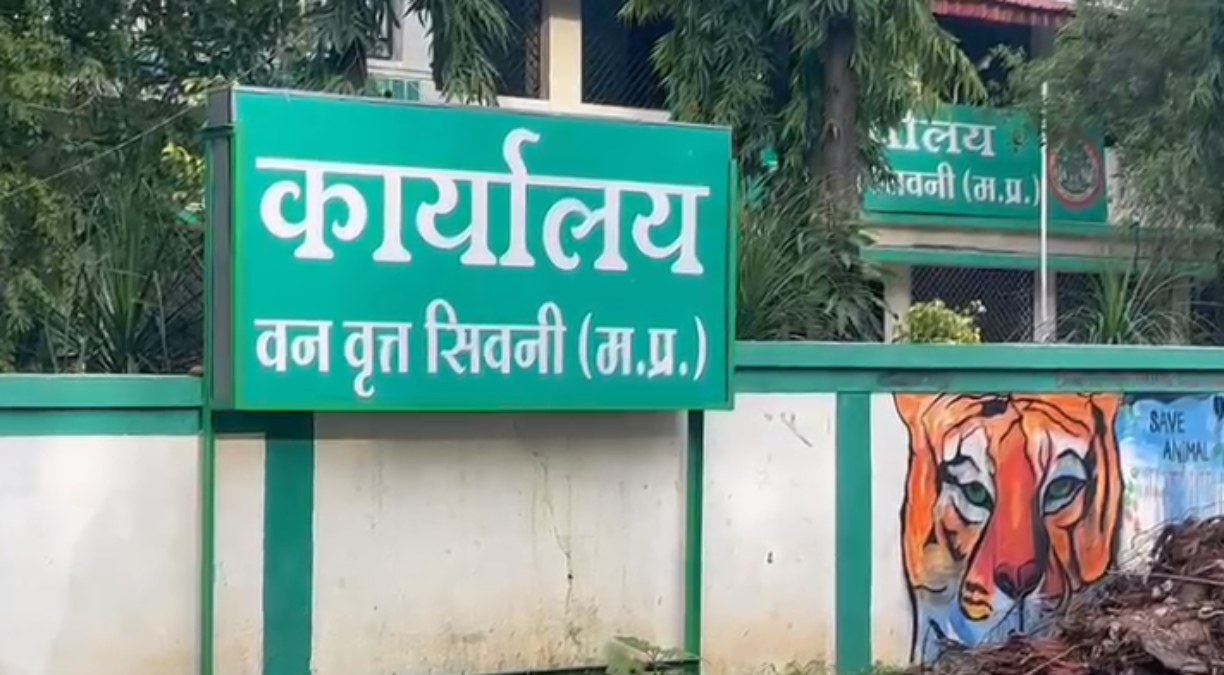 टाइगर स्ट्राइक फोर्स ने सिवनी में दी दबिश: पांच शिकारियों को किया गिरफ्तार, एक साल पहले बाघ का किया था शिकार 