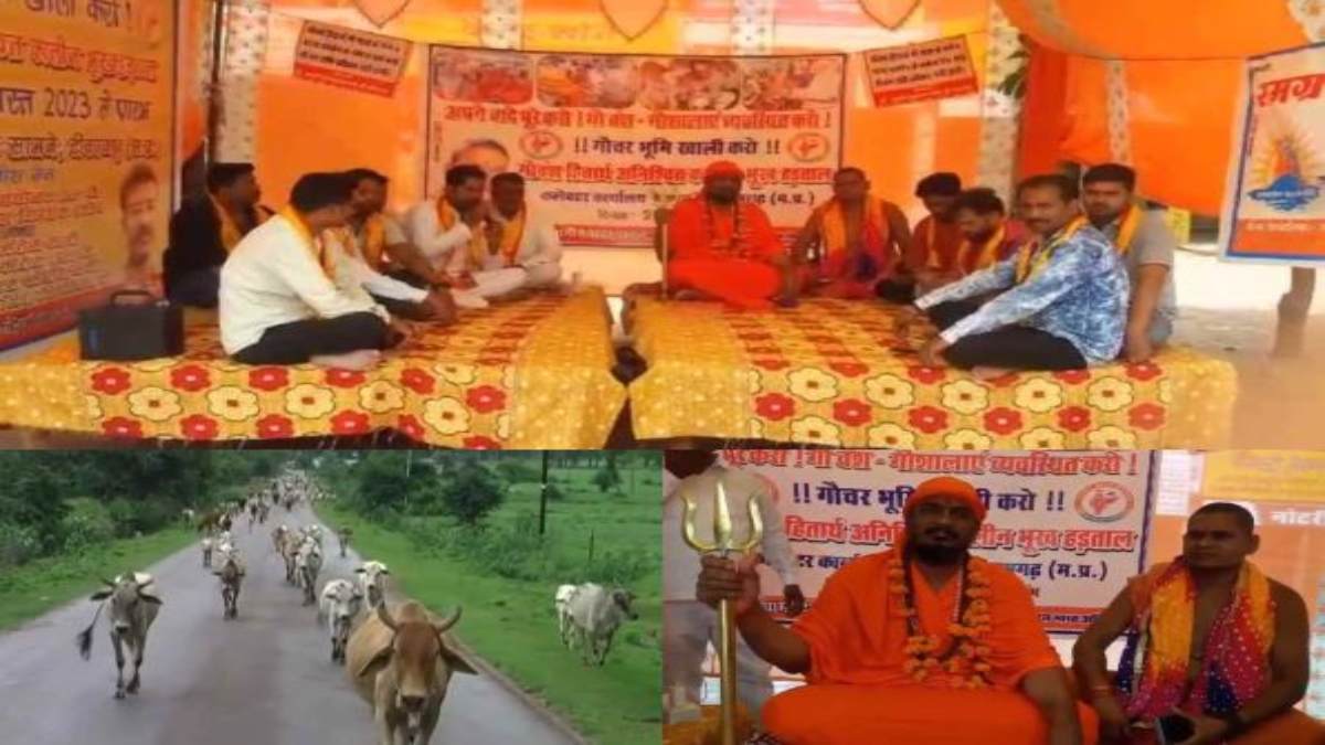 सड़कों पर घूम रहे गोवंश को लेकर साधु संत नाराज: भूख हड़ताल पर बैठे संत स्वारूपानंद महाराज, सरकार को दी छठी का दूध याद दिलाने की चेतावनी