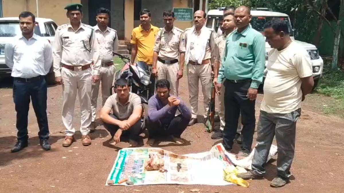 MP में राष्ट्रीय पक्षी मोर का शिकारः दो आरोपी चढ़े वन विभाग के हत्थे, केस दर्ज