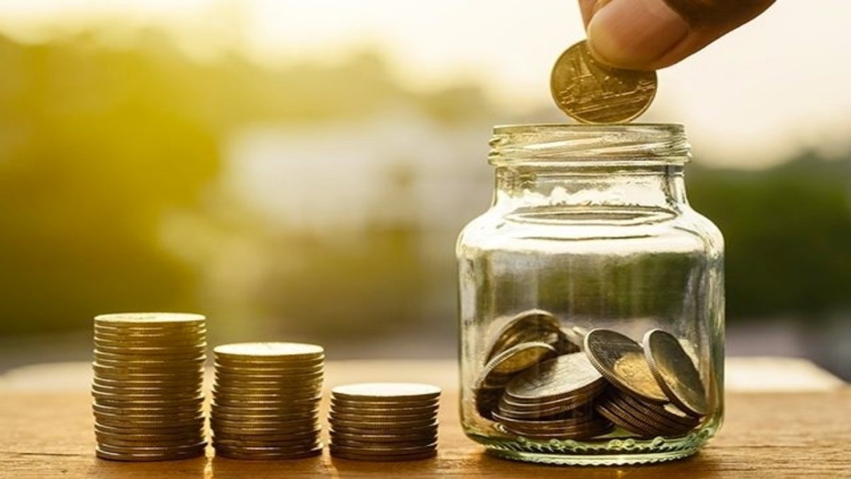 NRO Account Interest Rates: इन बैंकों ने बचत खातों पर बढ़ाई ब्याज दर, फटाफट चेक कर लीजिए डिटेल