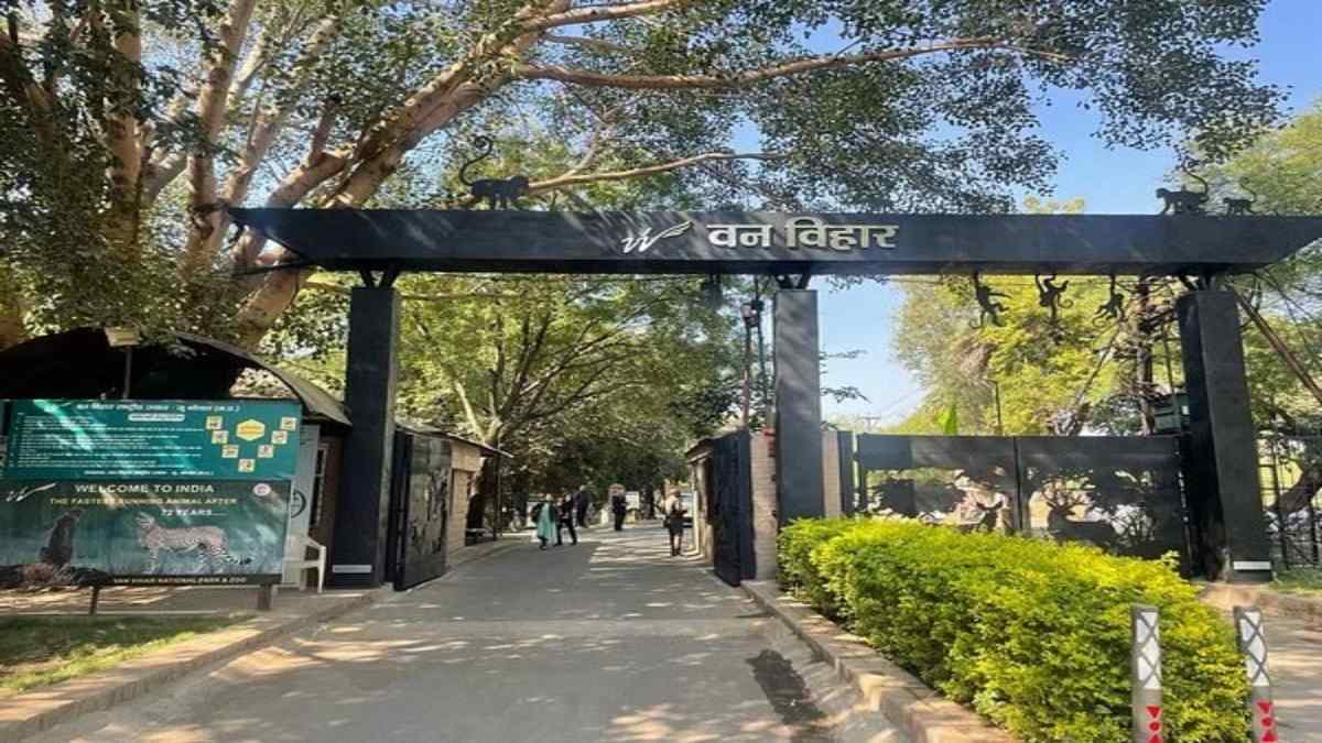 वन विहार के पर्यटकों के लिए जरूरी खबर: आज से नेशनल पार्क की टाइमिंग बदली, यहां देखिए पूरा शेड्यूल