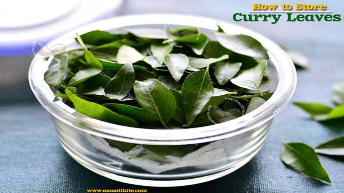 Kitchen Tips : आप भी करी पत्ते को लंबे समय तक करना चाहते है Store, तो Follow करें ये Tips …
