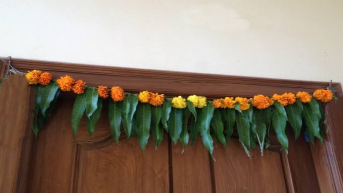 आम के पत्तों से कर लें ये उपाय, घर में बना रहेगा धन धान्य, गणेश भगवान और हनुमान जी को ऐसे करें आम के पत्तों से प्रसन्न …