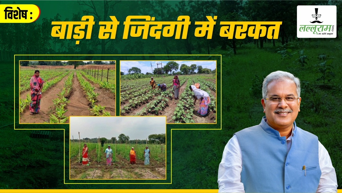 विशेष- बाड़ी से बदली महिलाओं की किस्मत: गौठानों में फल, फूल और सब्जियों की लहलहा रही फसलें, बारहमासी हो रही आमदनी, पढ़िए मेहनतकशों की कहानी