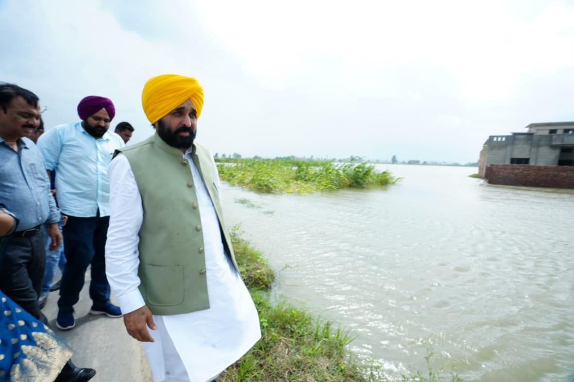 पूरे पंजाब में Yellow alert जारी, मुख्यमंत्री मान के आदेशों पर गिरदावरी शुरू