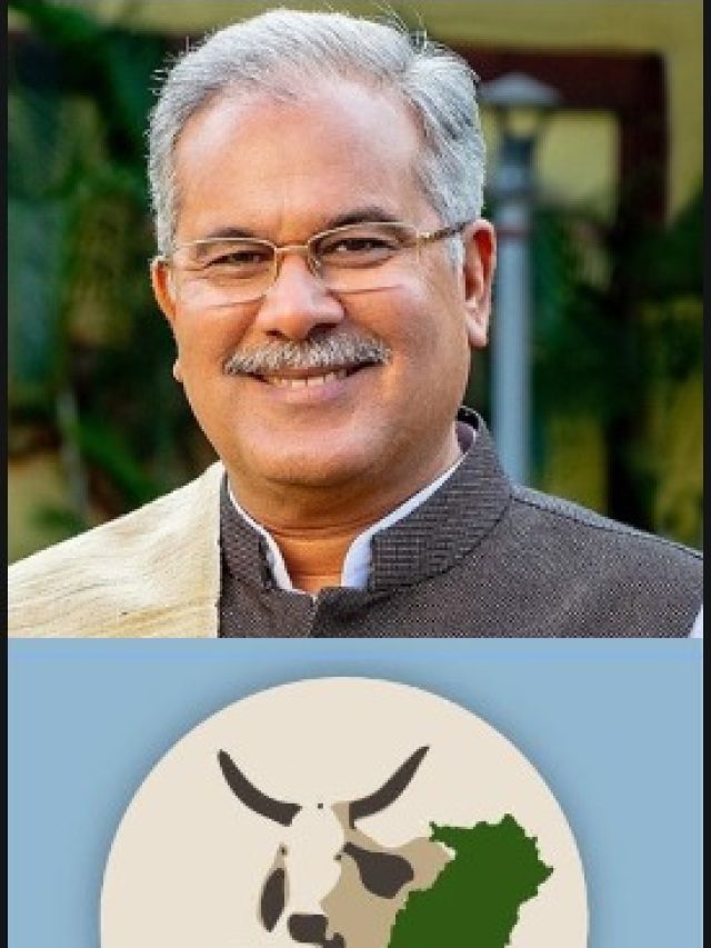 मुख्यमंत्री गोधन न्याय योजना : गौ पालकों को मालामाल बना रही स्कीम, अब तक 541.66 करोड़ रूपए का भुगतान