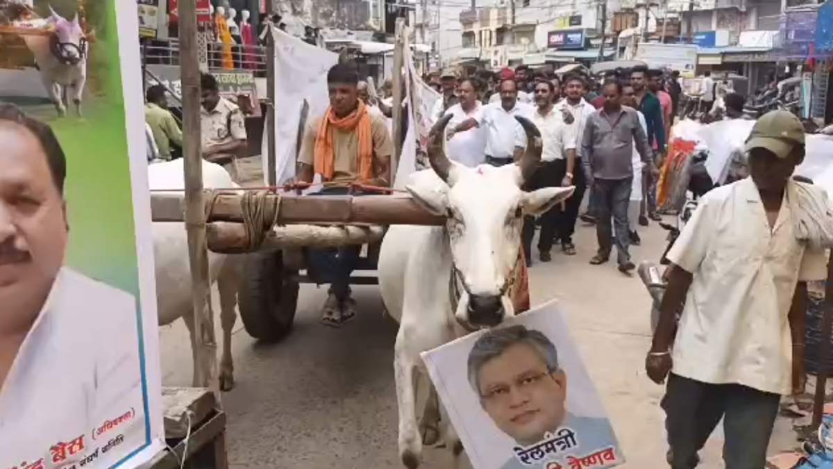 ट्रेनों की लेटलतीफी को लेकर अनोखा प्रदर्शन: बैलों के गले में सांसद और रेलमंत्री के फोटो लटकाकर निकाली रैली