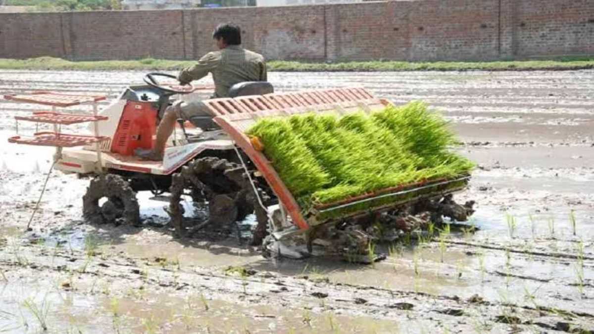 धान की बुआई और कटाई के लिए ये दो कृषि यंत्र है बेस्ट, घंटों का काम मिनटों में…