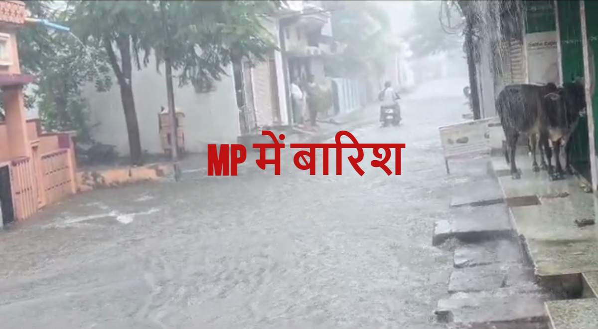 MP के 11 जिलों में भारी बारिश का रेड अलर्ट: शहडोल के स्कूलों में 2 दिन अवकाश, जोहिला डैम के खोले गए 4 गेट
