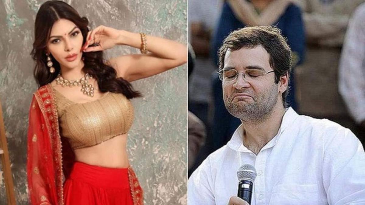 Rahul Gandhi से शादी करना चाहती हैं Sherlyn Chopra, लेकिन रख दी ये शर्त, कहा- शादी के बाद …