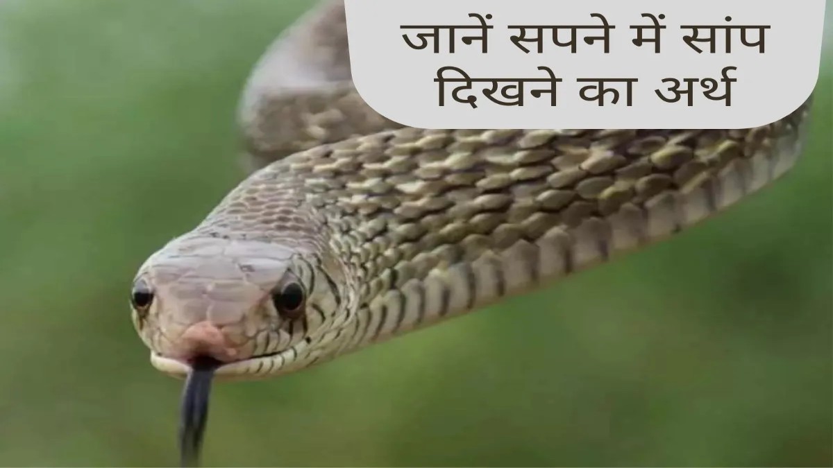 सपने में क्यों दिखाई देता है सांप, शास्त्रों में कई जगह मिलता है सांप का वर्णन …