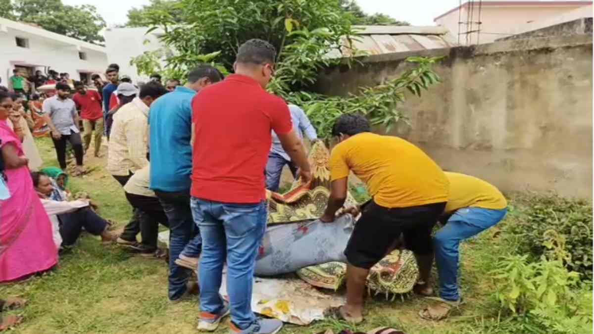 CG CRIME : मां-बेटे का शव मिलने से इलाके में फैली सनसनी