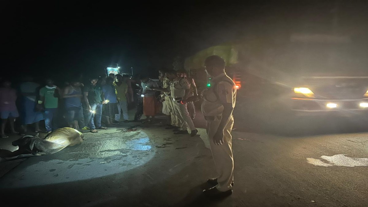 CG NEWS : सड़क किनारे बैठे मवेशी से टकराई बाइक, दो घायल, एक गंभीर, आए दिन हो रहे हादसे, क्या अनहोनी का इंतजार कर रहा प्रशासन ?