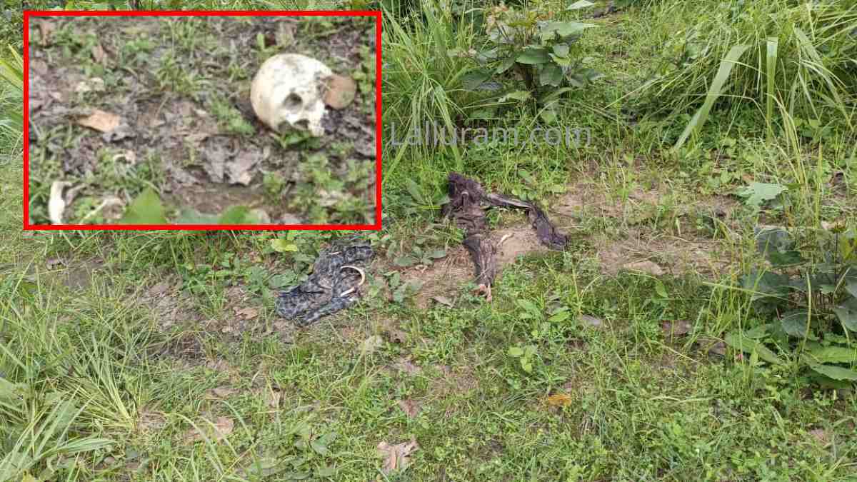 CG BREAKING : जंगल में नर कंकाल मिलने से मचा हड़कंप, जांच में जुटी पुलिस