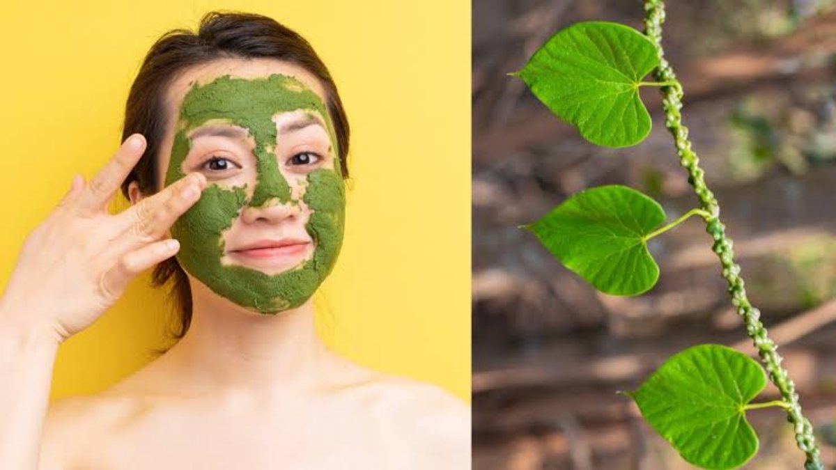 Beauty Tips : बहुत चमत्कारी जड़ी बूटी है गिलोय, Skin के लिए है फायदेमंद, यहां देखें गिलोय मास्क बनाने का तरीका …