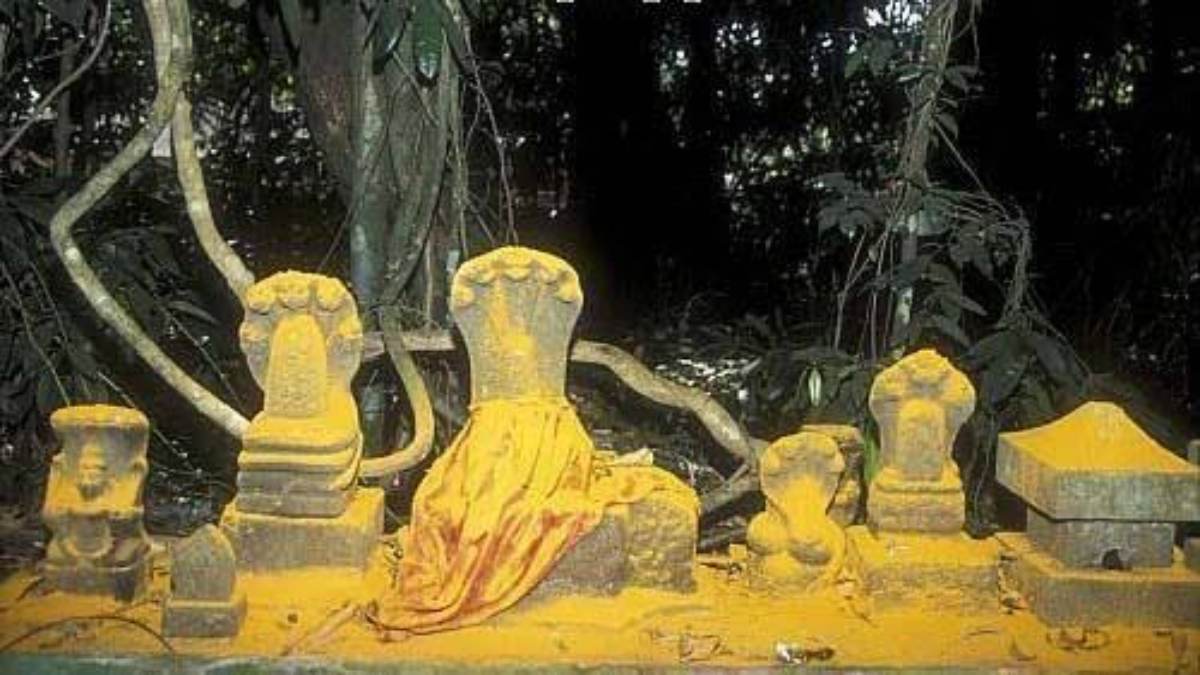 ये हैं देश के प्रसिद्ध 7 नाग मंदिर, जहां दर्शन और पूजा से कुंडली और कुल की विषबाधा हो जाती है दूर …