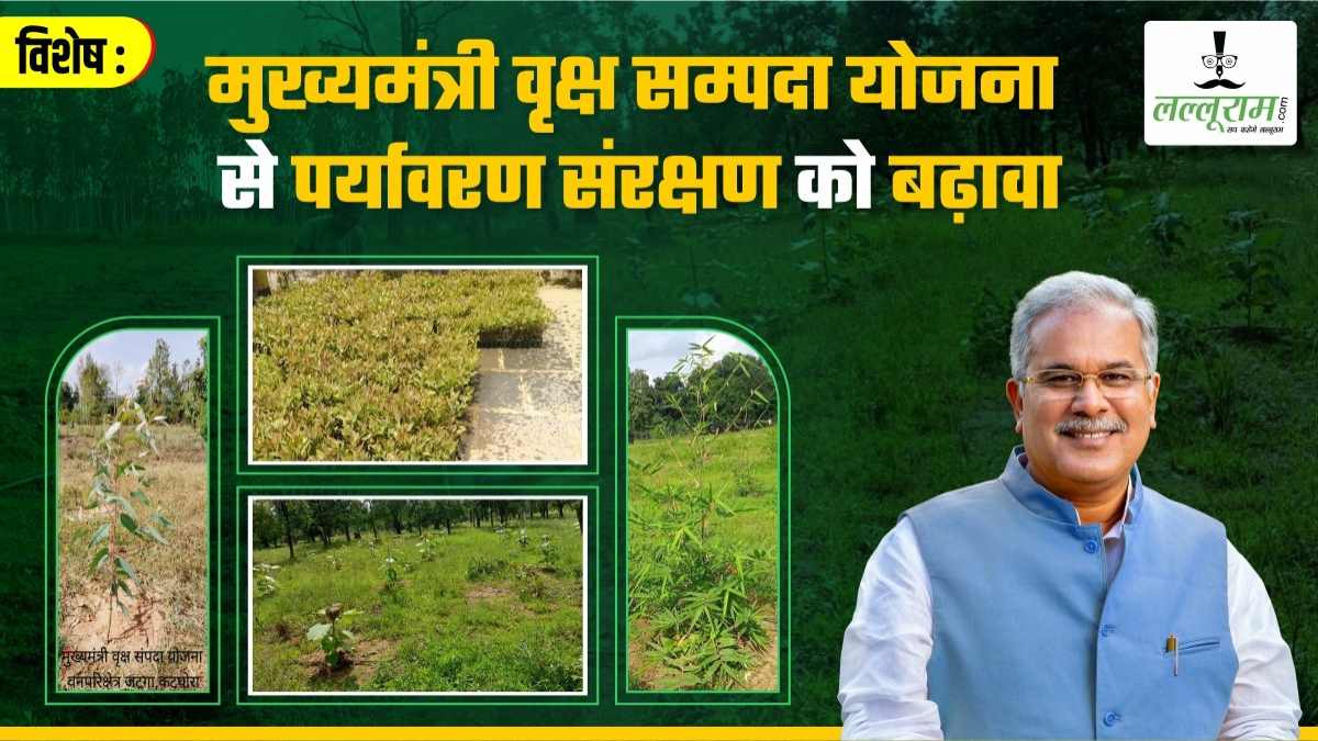 विशेष : कारगर साबित हो रही मुख्यमंत्री वृक्ष सम्पदा योजना, वृक्षारोपण को मिला प्रोत्साहन, पर्यावरण संरक्षण के साथ हो रहा मृदा संरक्षण