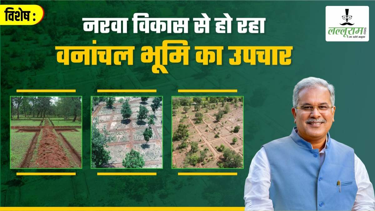 विशेष : नरवा योजना से हो रहा भूमि संवर्धन, वन क्षेत्रों में 30-40 मॉडल के लगभग 2 लाख संरचनाओं का हो रहा निर्माण