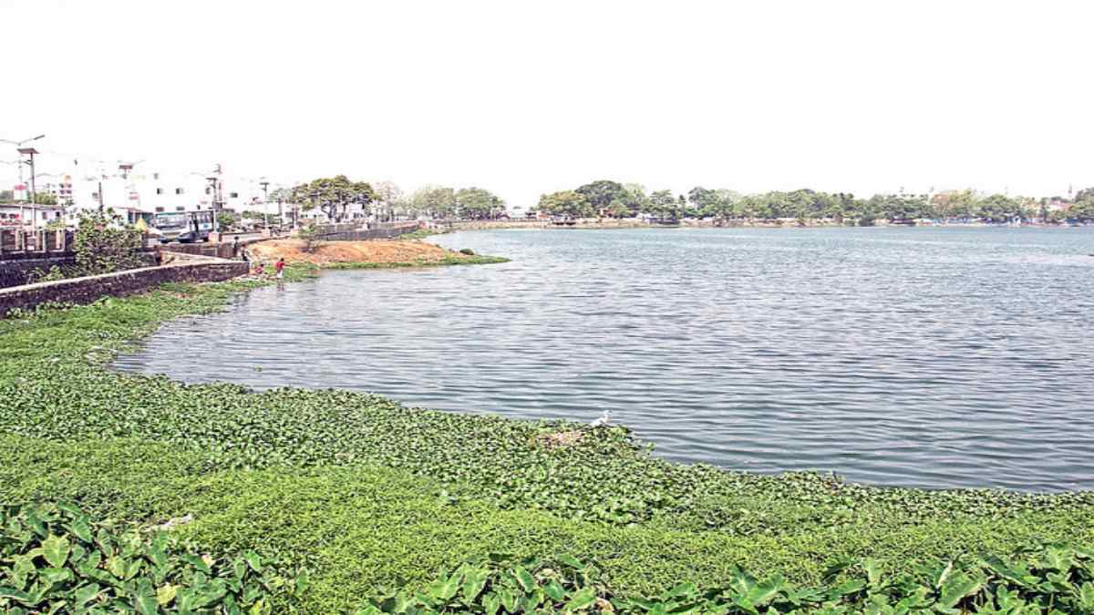 महाराजबंध तालाब में 15 दिनों से चल रहा सफाई अभियान, अब तक निकाल चुके हैं 100 डंपर से अधिक जलकुंभी