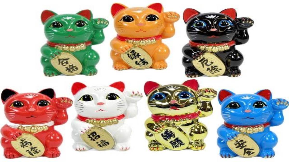फैंगशुई Cat से घर में आती है सुख-समृद्धि, जानें कौन से रंग की कैट रखने से क्या होगा …