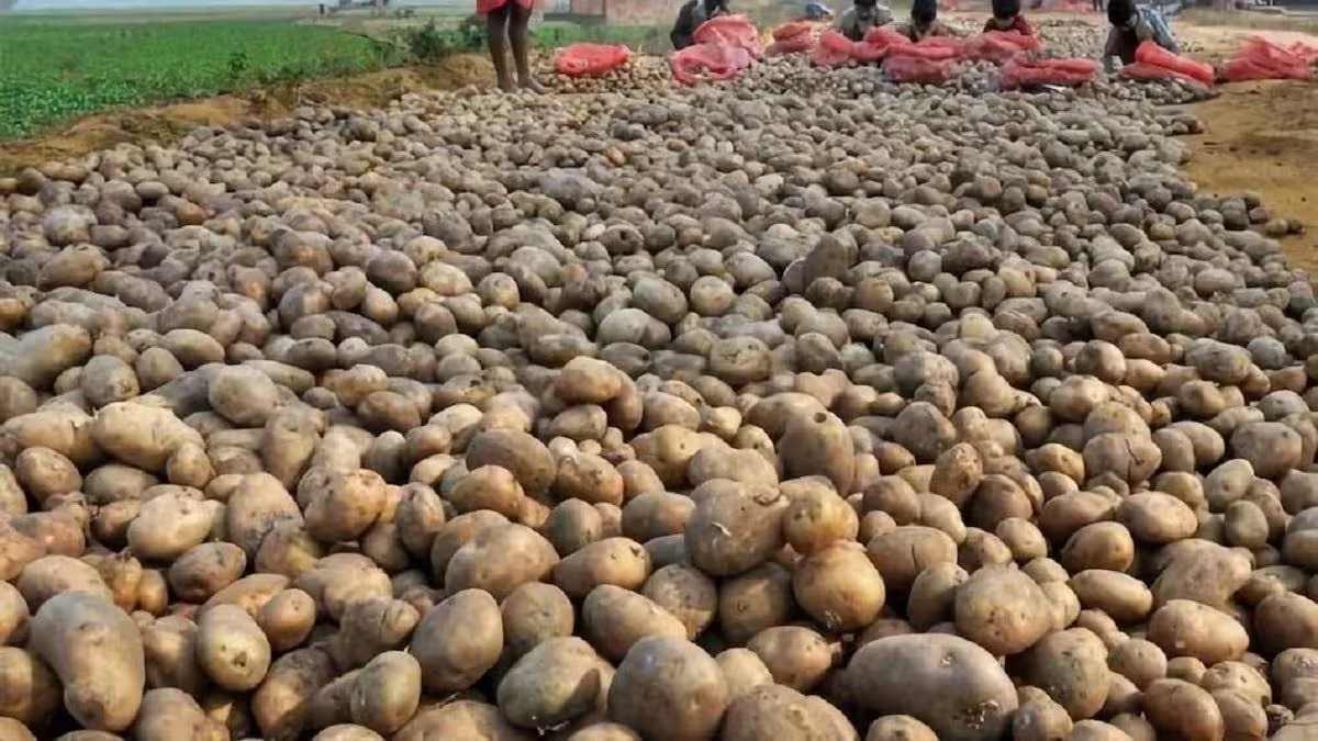 आलू किसानों के लिए अच्छी खबर, अब सरकार देगी ये सुविधा…
