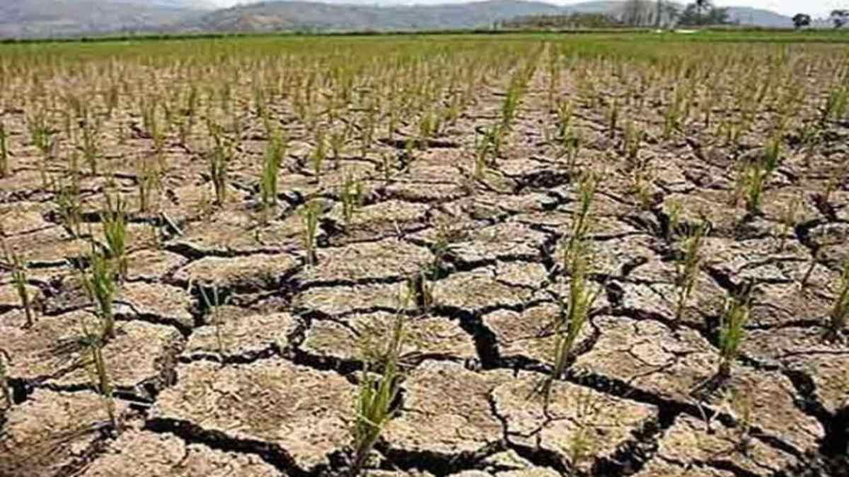 UP Weather Updates : 29 जिलों में सूखे जैसी स्थिति, जानिए कब होगी अच्छी बारिश