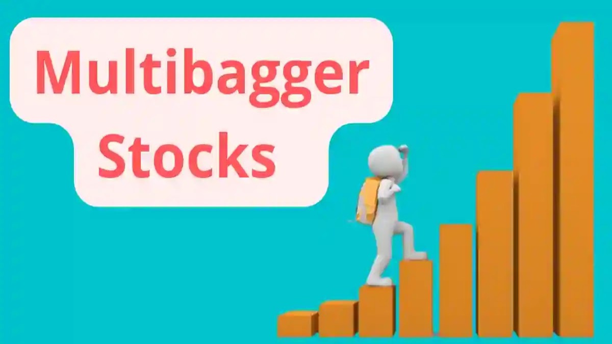 Best Multibagger Stocks: इस शेयर ने निवेशकों की भर दी झोली, 1 लाख के बन गए 21 लाख, 2000 फीसदी रिटर्न