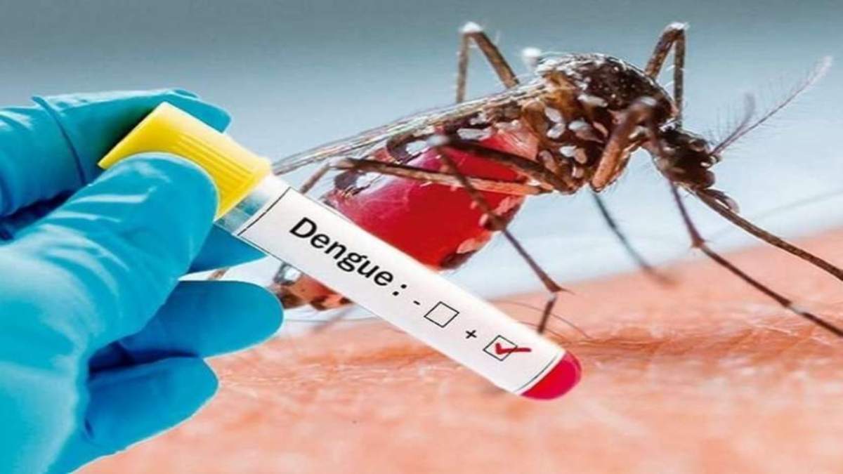ग्वालियर में डेंगू का असर बरकरार: 12 साल की बच्ची सहित 3 मरीज की पुष्टि, स्वास्थ्य विभाग हुआ अलर्ट