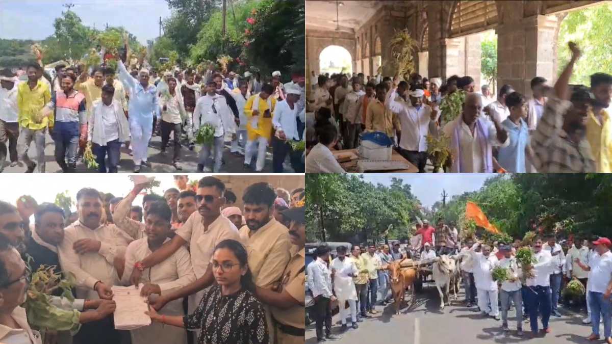 बारिश नहीं होने से फसलें बर्बाद: बैलगाड़ी से हाथों में खराब फसल लेकर कलेक्ट्रेट का घेराव करने पहुंचे किसान, जमकर की नारेबाजी, ये हैं मांगें