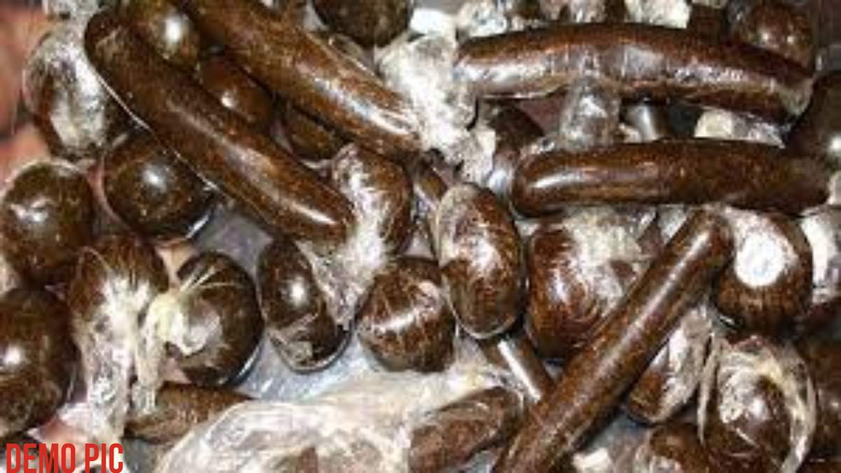 2 करोड़ की 10 किलो चरस जब्त: बिहार की एक महिला समेत 2 तस्कर गिरफ्तार, नेपाल से लाकर MP में खपाने की थी तैयारी