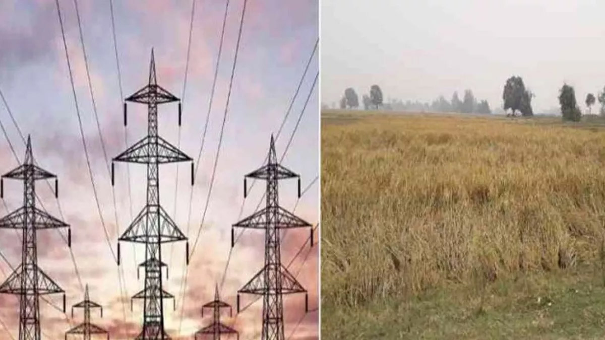 बिजली संयंत्रों में 10 तक पराली का उपयोग अनिवार्य